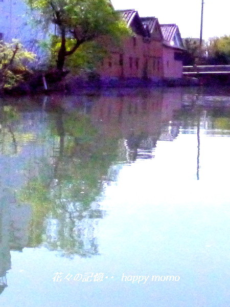 c0357781_20231764.jpg
