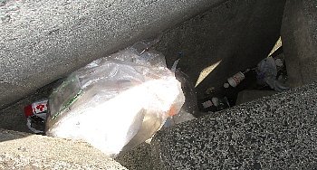 f0003283_08082536.jpg
