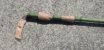 f0003283_08142940.jpg