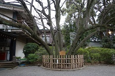 d0183387_18201312.jpg