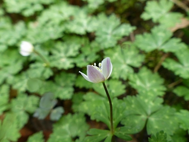 f0357487_00221166.jpg