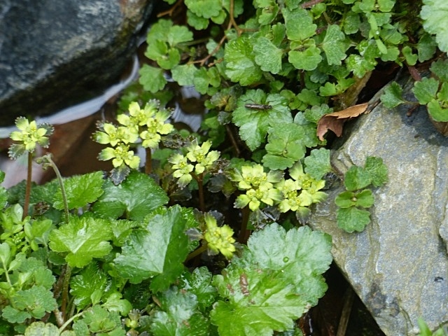 f0357487_00264334.jpg