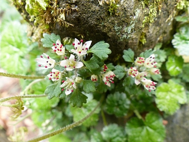 f0357487_00301117.jpg