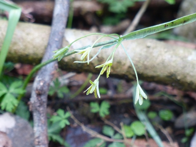 f0357487_00340551.jpg