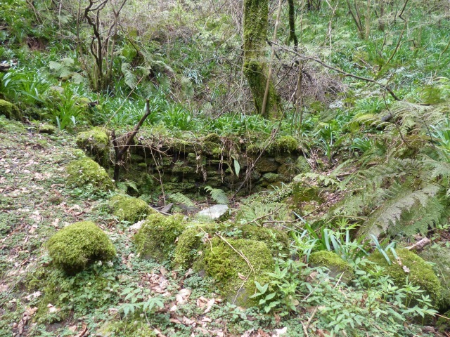 f0357487_00382699.jpg