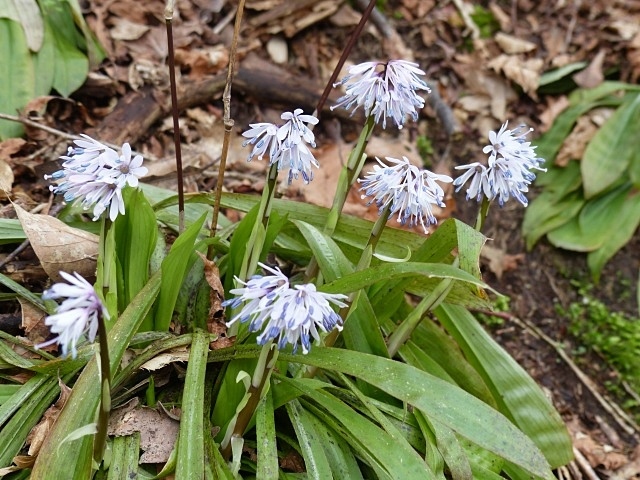 f0357487_00484357.jpg