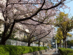 b0192588_9232419.jpg