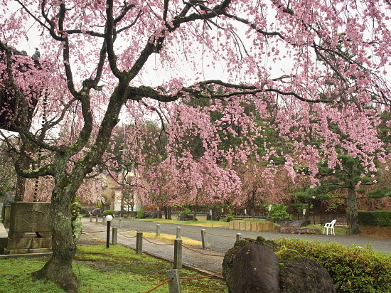 d0026589_01254136.jpg