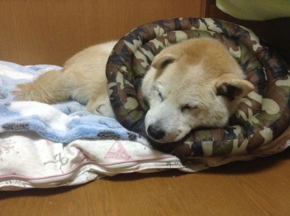 c0123890_20143113.jpeg
