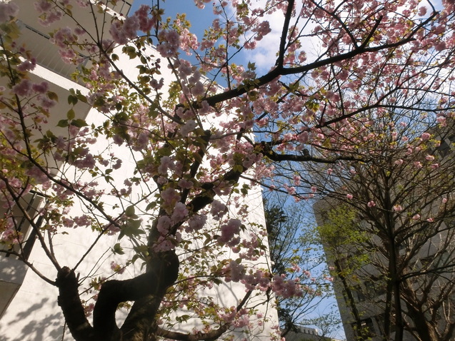 a0319693_6301125.jpg