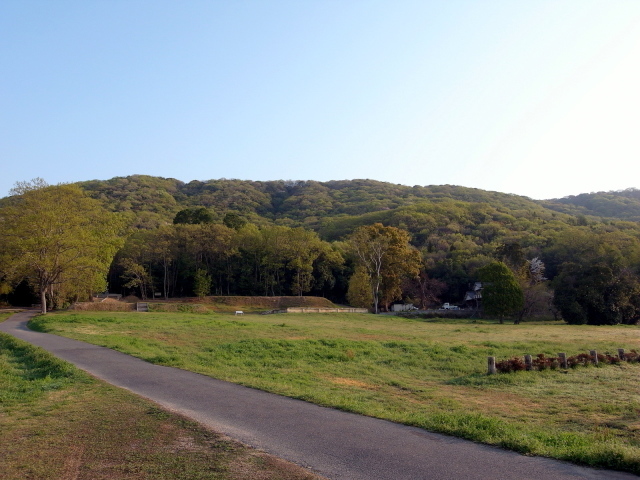 f0325295_12332689.jpg