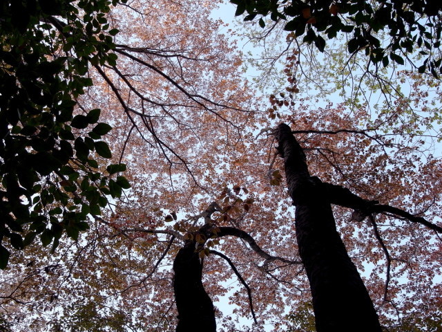 f0325295_12333895.jpg