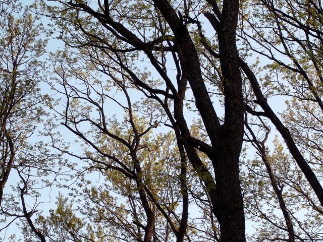 f0325295_12334396.jpg