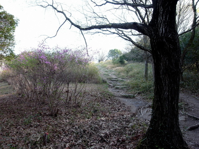 f0325295_12335165.jpg