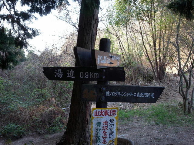 f0325295_12335711.jpg