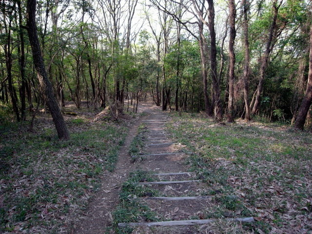 f0325295_13134851.jpg
