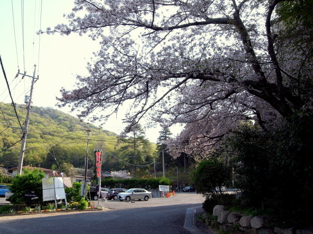 f0325295_13144322.jpg