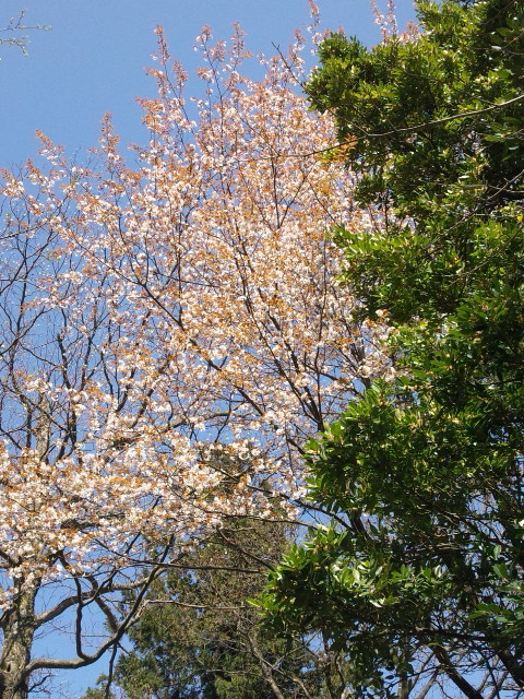 a0105396_16355158.jpg