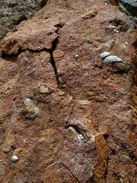 a0199297_20005251.jpg