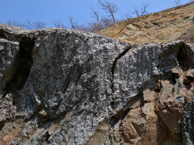 a0199297_20065407.jpg