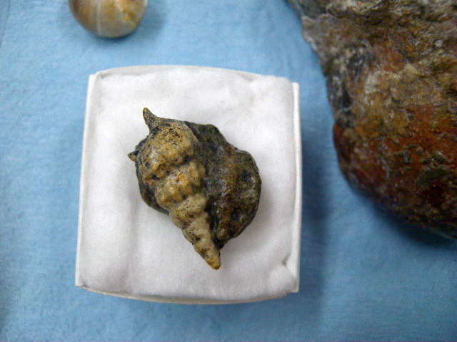 a0199297_21314456.jpg