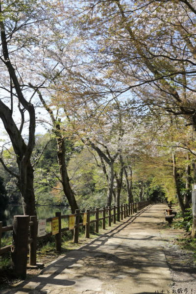 b0275998_10364476.jpg
