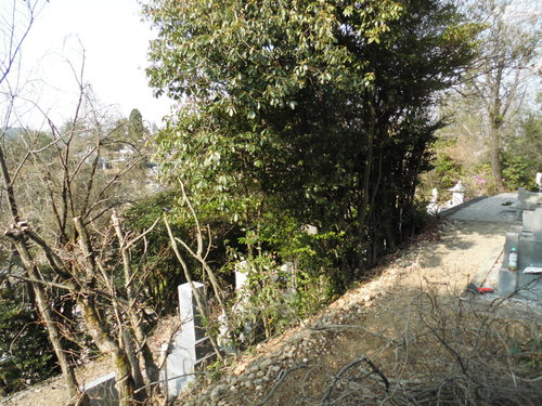 c0108198_16582975.jpg