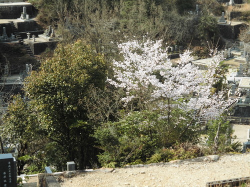 c0108198_1721840.jpg