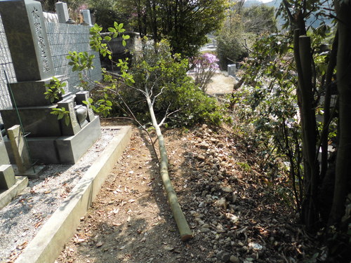 c0108198_1731925.jpg