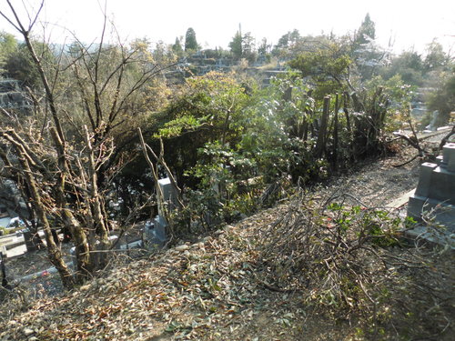 c0108198_1792859.jpg