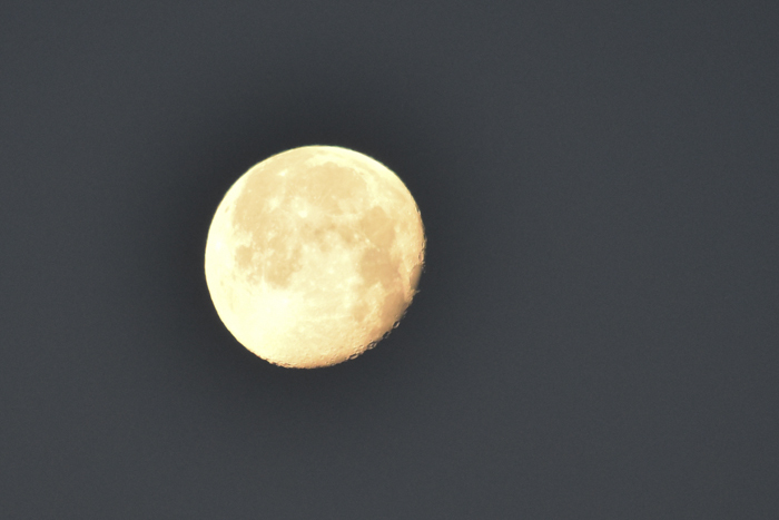 c0049299_22574435.jpg