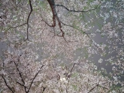 f0214600_11381107.jpg