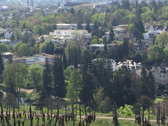 e0181901_19262675.jpg