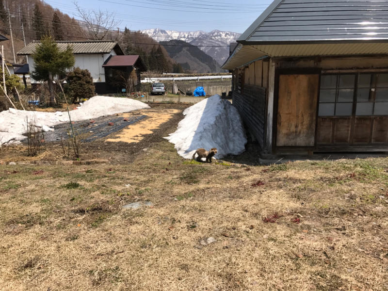 d0174502_10582635.jpg