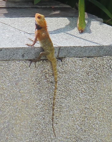 c0212604_21181793.jpg