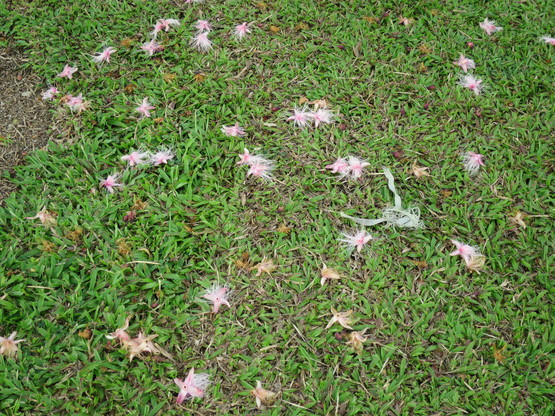 c0212604_21345016.jpg