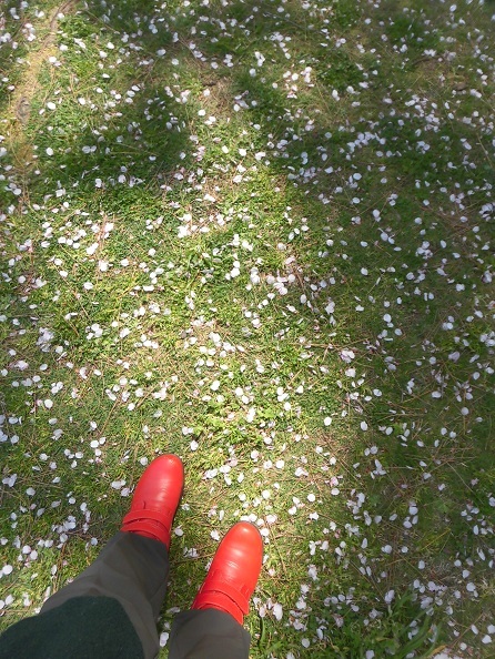 e0078404_01433526.jpg
