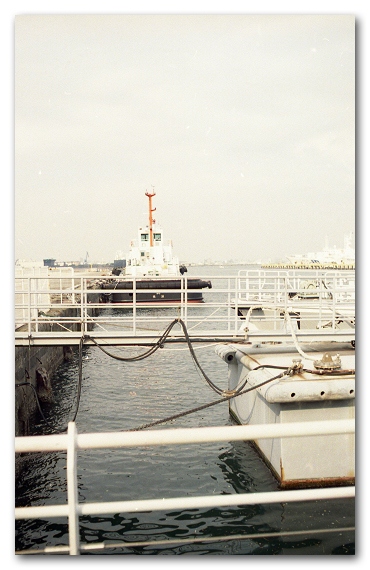 e0175405_08464822.jpg