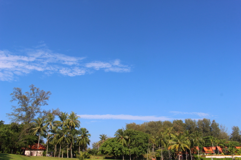 b0293908_21550915.jpg