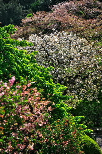 a0263109_19513636.jpg