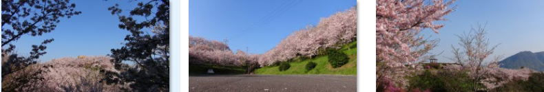 f0231709_14131497.png