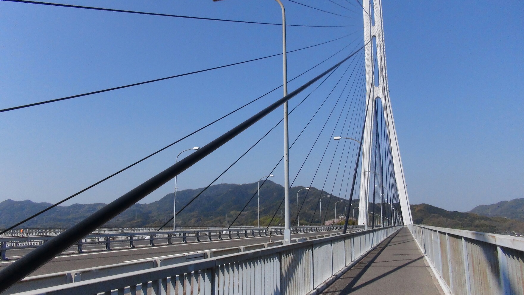 f0231709_1425308.jpg