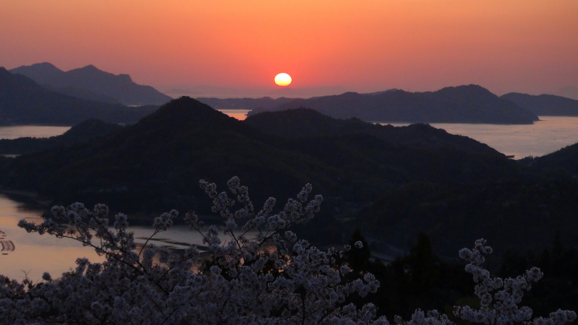 f0231709_1431596.jpg