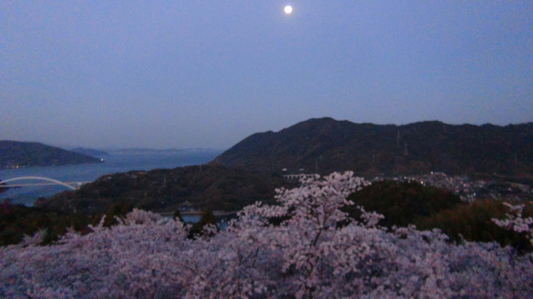 f0231709_1439383.jpg