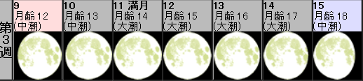 f0231709_14485055.png