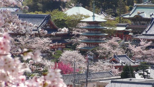 f0231709_172648.jpg