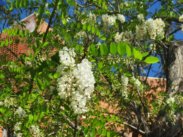 b0064411_02363664.jpg