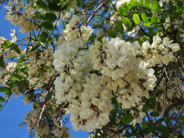 b0064411_02363762.jpg