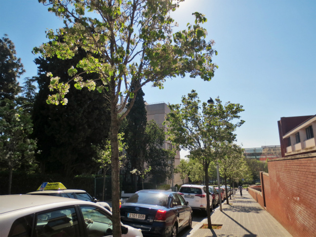 b0064411_05052051.jpg