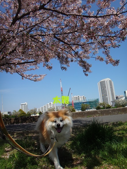 f0121712_15211623.jpg